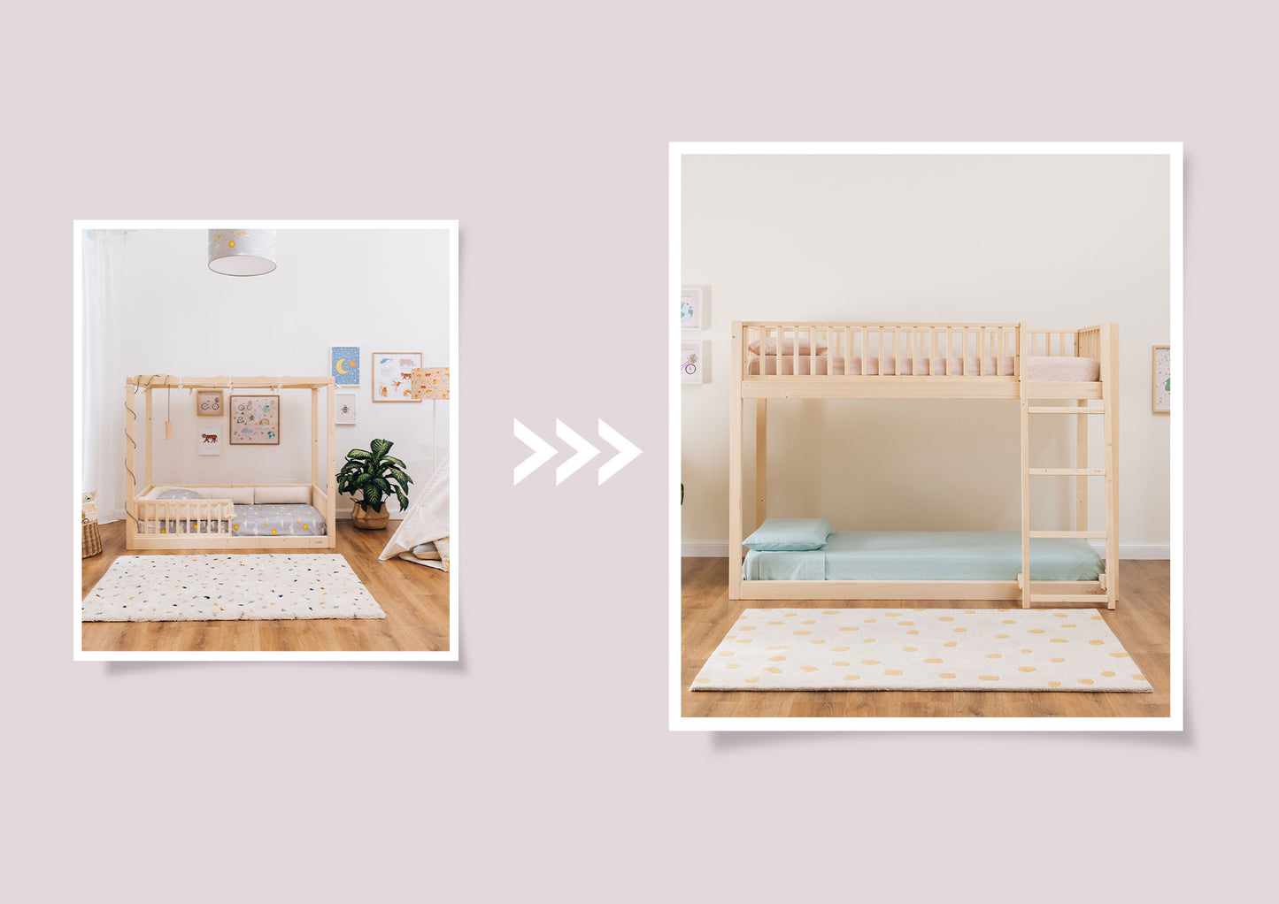 Kit di Conversione zero+ Dream/Earth <--> Duo