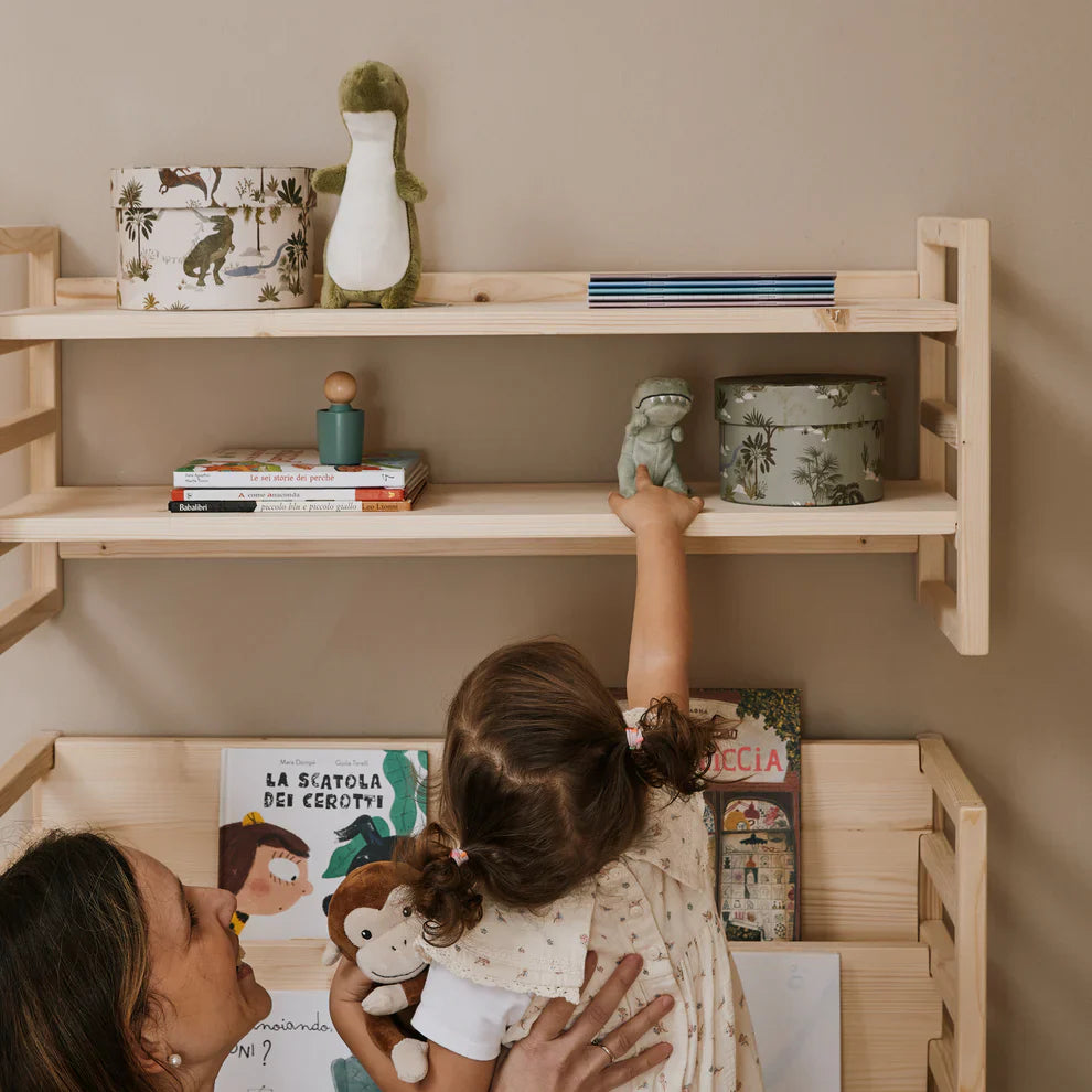 Bundle libreria Evergrow