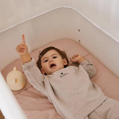 Culla next to me evolutiva zero+ Una bio paint