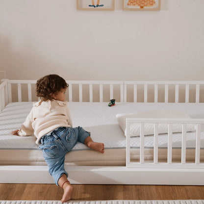 Bundle Fun bio paint Starter