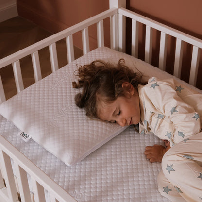 Bundle Dream bio paint Young