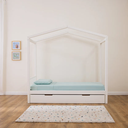 Bundle Dream bio paint Young