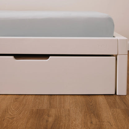 Bundle Dream bio paint Young