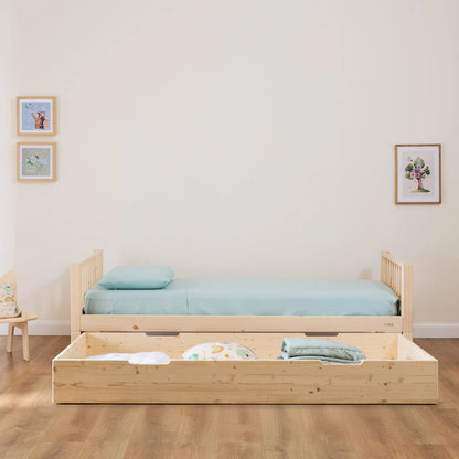 Cassettone estraibile zero+