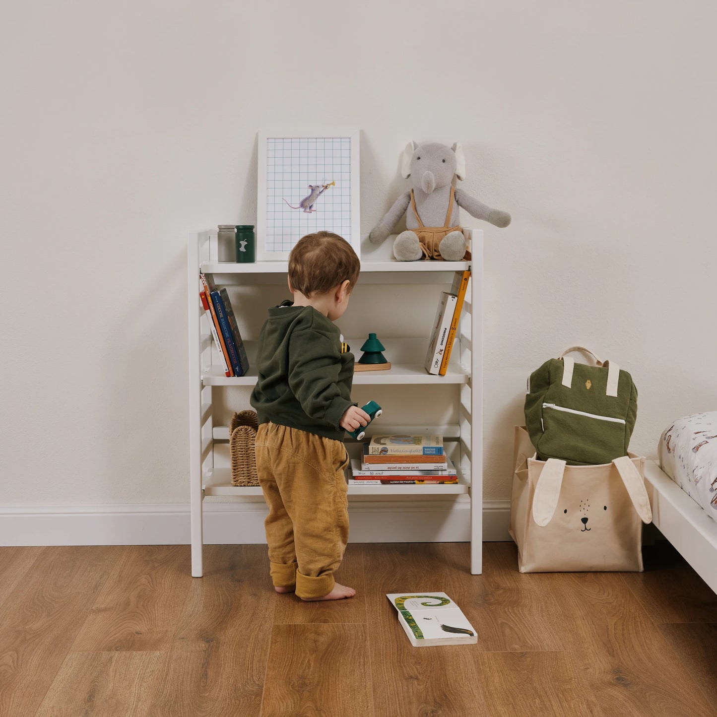 Libreria evolutiva EverGrow bio paint