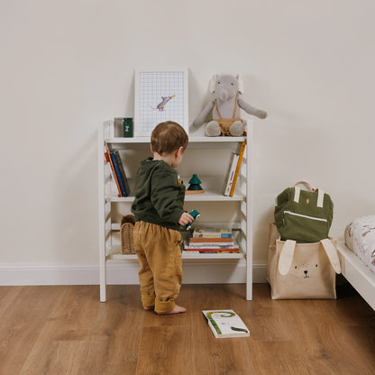 Libreria evolutiva EverGrow bio paint