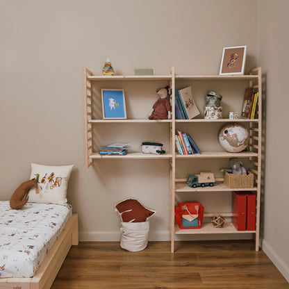 Libreria evolutiva EverGrow