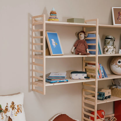 Libreria evolutiva EverGrow