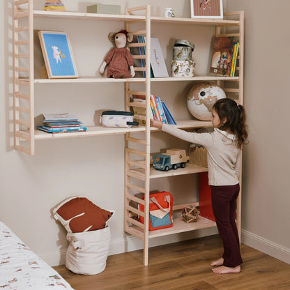 Libreria evolutiva EverGrow