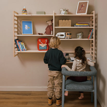 Libreria evolutiva EverGrow