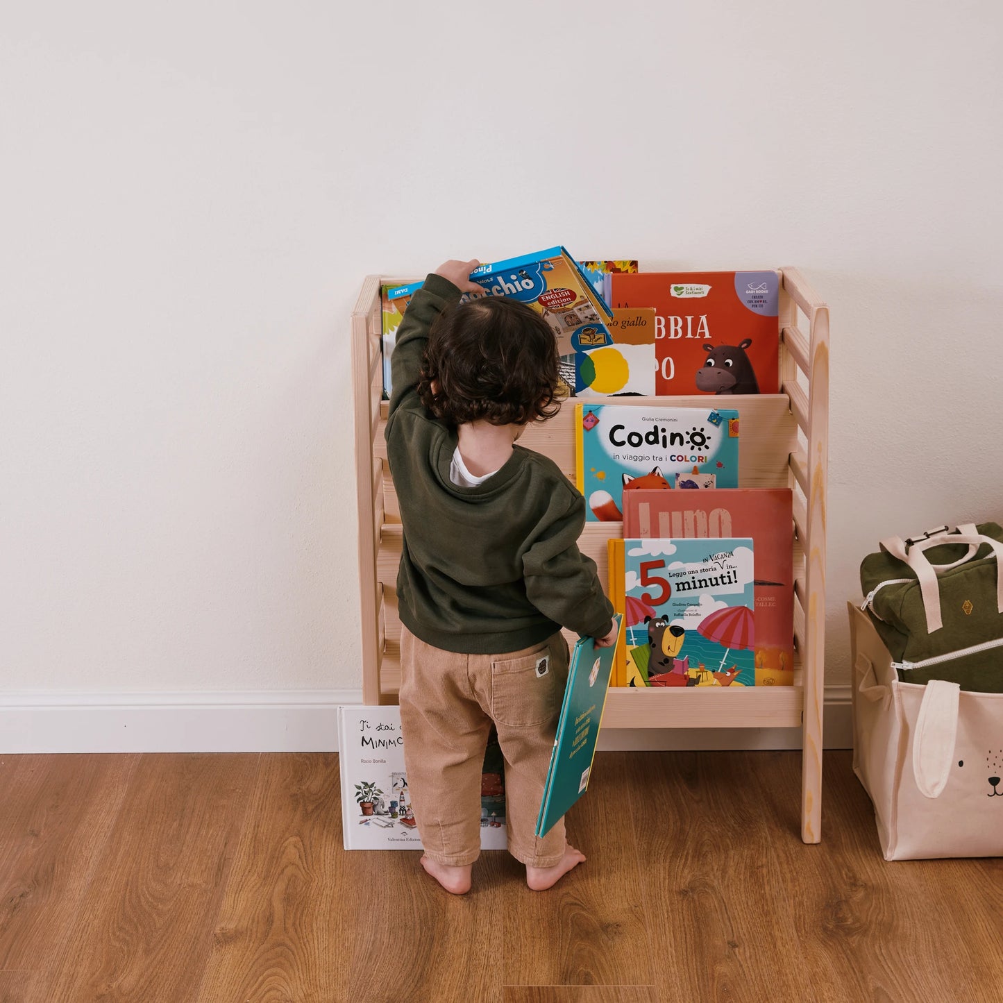 Libreria evolutiva EverGrow