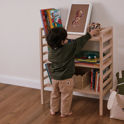 Libreria evolutiva EverGrow