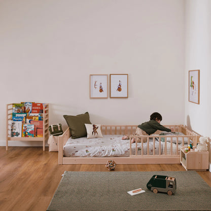 Libreria evolutiva EverGrow