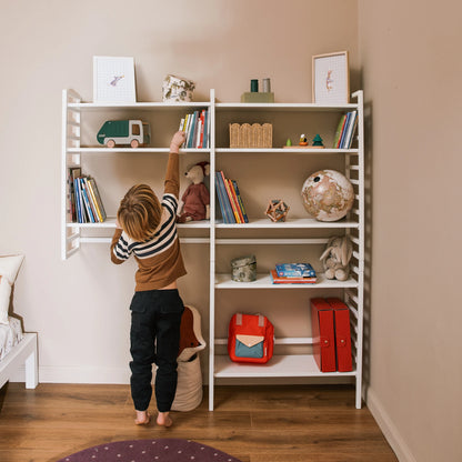 Libreria evolutiva EverGrow bio paint